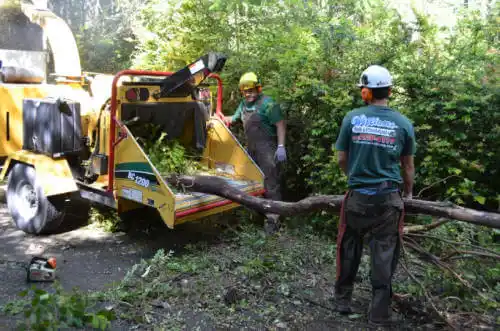 tree services Montgomery